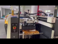 Machine à vernis UV de la série FHSGJ