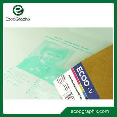 Plat violet négatif de Digital Photopolymer PCT pour l'impression de journal