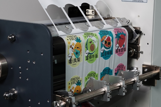 Machine à découper à la matrice avec découpe et rebond