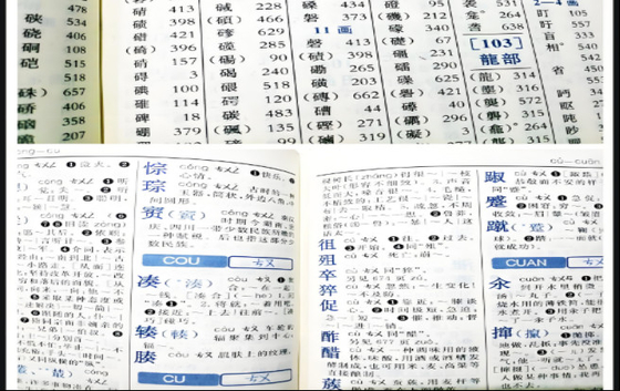 Deux couleurs de l'imprimante à offset parfaite pour les factures ou les livres d'exercices