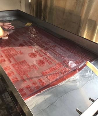 FP-900 Processeur de plaques flexoplastiques à base de solvant
