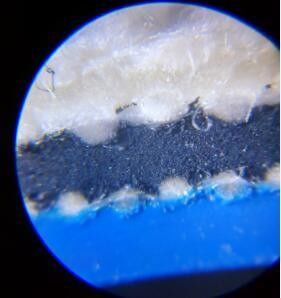 Couverture en caoutchouc de impression compressible de plein moule couleur bleue de 3 plis