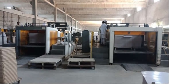 papier 0.8Mpa thermosensible fendant la machine 300m/min de rebobinage